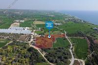 8696 SQM Land in Agios Theodoros Larnacas (Larnaca) for sale 