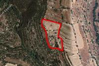 11372 SQM Land · Dora (Limassol) for sale 