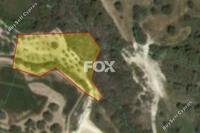2947 SQM Land · Drousia (Paphos) for sale 