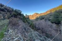 2239 SQM Land · Farmakas (Nicosia) for sale 