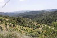 23263 SQM Land in Sykopetra (Limassol) for sale 