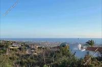 7358 SQM Land in Tala (Paphos) for sale 