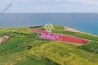 36456 SQM Land in Mazotos (Larnaca) for sale 