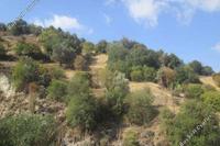 5519 SQM Land · Kallepeia (Paphos) for sale 
