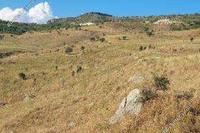 4348 SQM Land · Pentalia (Paphos) for sale 