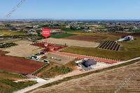 6301 SQM Land · Xylofagou (Larnaca) for sale 