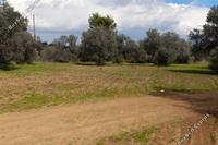 6021 SQM Land in Lythrodontas (Nicosia) for sale 