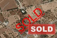 1315 SQM Land in Mazotos (Larnaca) for sale 