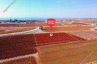 4679 SQM Land · Xylofagou (Larnaca) for sale 