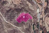 34449 SQM Land in Agios Theodoros Larnacas (Larnaca) for sale 