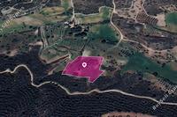 8912 SQM Land · Kofinou (Larnaca) for sale 