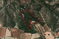 5262 SQM Land · Peyia (Paphos) for sale 