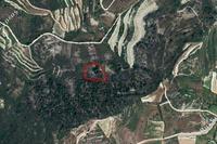 3679 SQM Plot in Koilani (Limassol) for sale 