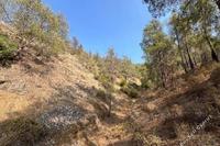 19733 SQM Land in Agios Theodoros Soleas (Nicosia) for sale 
