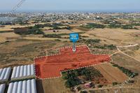 11744 SQM Land in Paralimni (Famagusta) for sale 