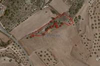 6020 SQM Land in Alethriko (Larnaca) for sale 