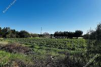 1386 SQM Land · Protaras (Famagusta) for sale 