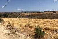 6216 SQM Land in Stroumbi (Paphos) for sale 