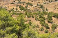 8027 SQM Land in Pano Pyrgos (Nicosia) for sale 