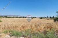 6562 SQM Land · Poli Chrysochous (Paphos) for sale 