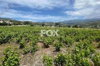4683 SQM Land in Omodos (Limassol) for sale 