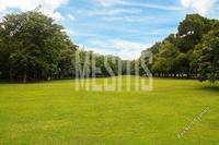 46000 SQM Plot · Nisou (Nicosia) for sale 