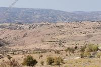 18061 SQM Land in Faleia (Paphos) for sale 