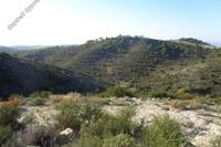 22743 SQM Plot in Asgata (Limassol) for sale 