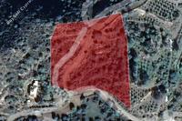 7358 SQM Land in Lageia (Larnaca) for sale 