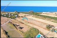 6562 SQM Land in Poli Chrysochous (Paphos) for sale 