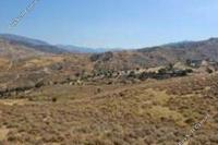 12041 SQM Land · Kelokedara (Paphos) for sale 