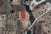 1433 SQM Land in Kornos (Larnaca) for sale 