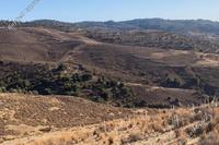 12041 SQM Land in Kelokedara (Paphos) for sale 