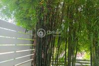4 Bedroom Detached house · Linopetra (Limassol) for sale 