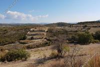 11037 SQM Land in Agios Therapon (Limassol) for sale 