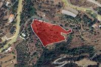 6355 SQM Land · Agioi Vavatsinias (Larnaca) for sale 