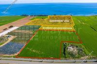16467 SQM Plot in Softades (Larnaca) for sale 