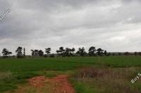 11281 SQM Plot in Potamos Liopetriou (Famagusta) for sale 