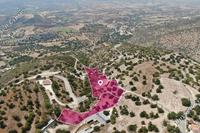 14047 SQM Land in Peristerona Pafou (Paphos) for sale 