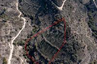 12041 SQM Plot in Dora (Limassol) for sale 