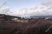 3679 SQM Land in Kritou Tera (Paphos) for sale 