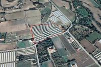 17670 SQM Land in Maroni (Larnaca) for sale 