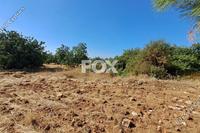 4000 SQM Plot · Souni Zanakia (Limassol) for sale 