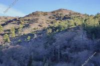 2676 SQM Land in Pedoulas (Nicosia) for sale 
