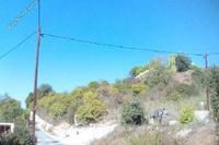 1244 SQM Land in Stroumbi (Paphos) for sale 