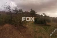 3011 SQM Land in Agios Therapon (Limassol) for sale 