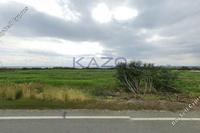 6382 SQM Land in Maroni (Larnaca) for sale 