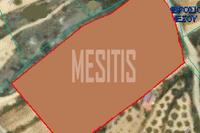6355 SQM Plot in Agios Ambrosios (Limassol) for sale 