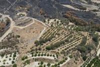 15915 SQM Land in Giolou (Paphos) for sale 