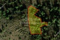 5204 SQM Land in Oikos Marathasas (Nicosia) for sale 